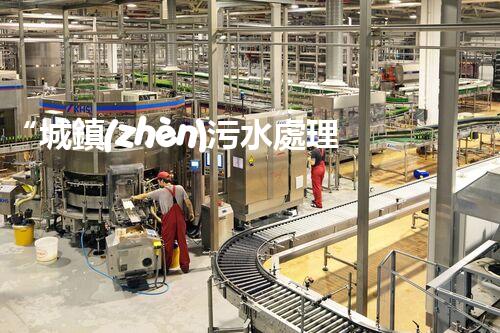 “城鎮(zhèn)污水處理方案，綠色以后新篇章”